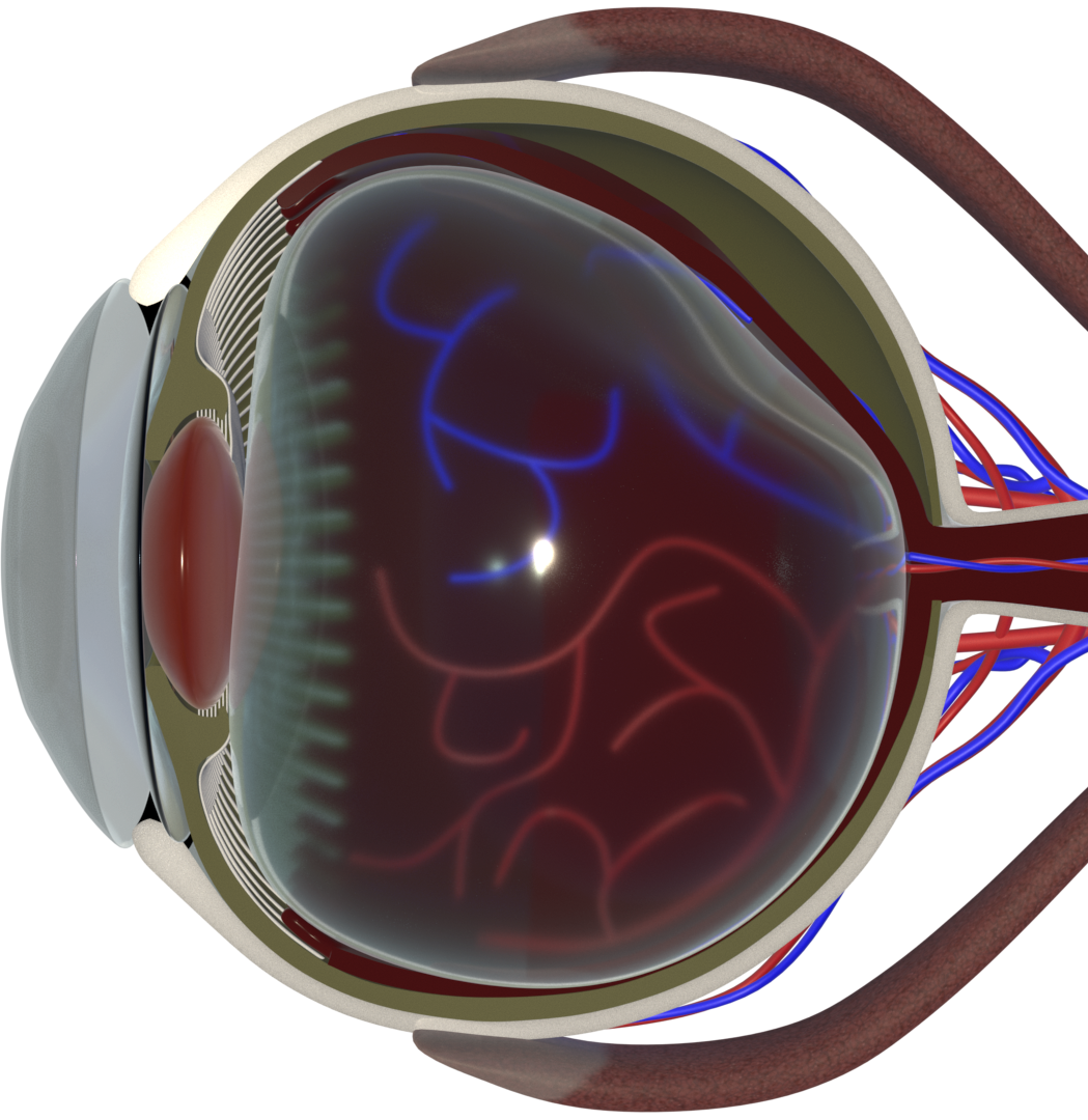 Retina Diseases